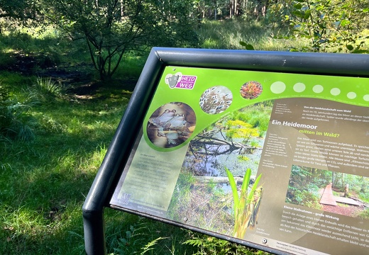 23-09-09 14-31-22 6557